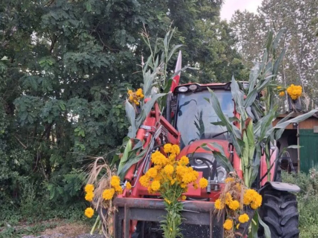 Dożynki dla rolników, nie dla polityków. Rolnicy z Podlasia wzięli sprawy w swoje ręce