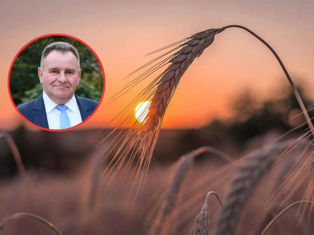 Rolnicy zostaną bez pieniędzy. Jędrejek: to koniec złudzeń