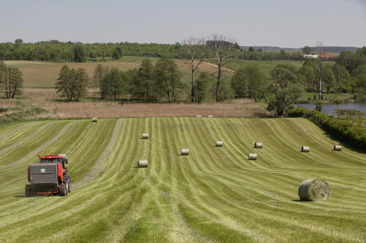 zielona łąka ze snopkami i ciągnikiem rolniczym