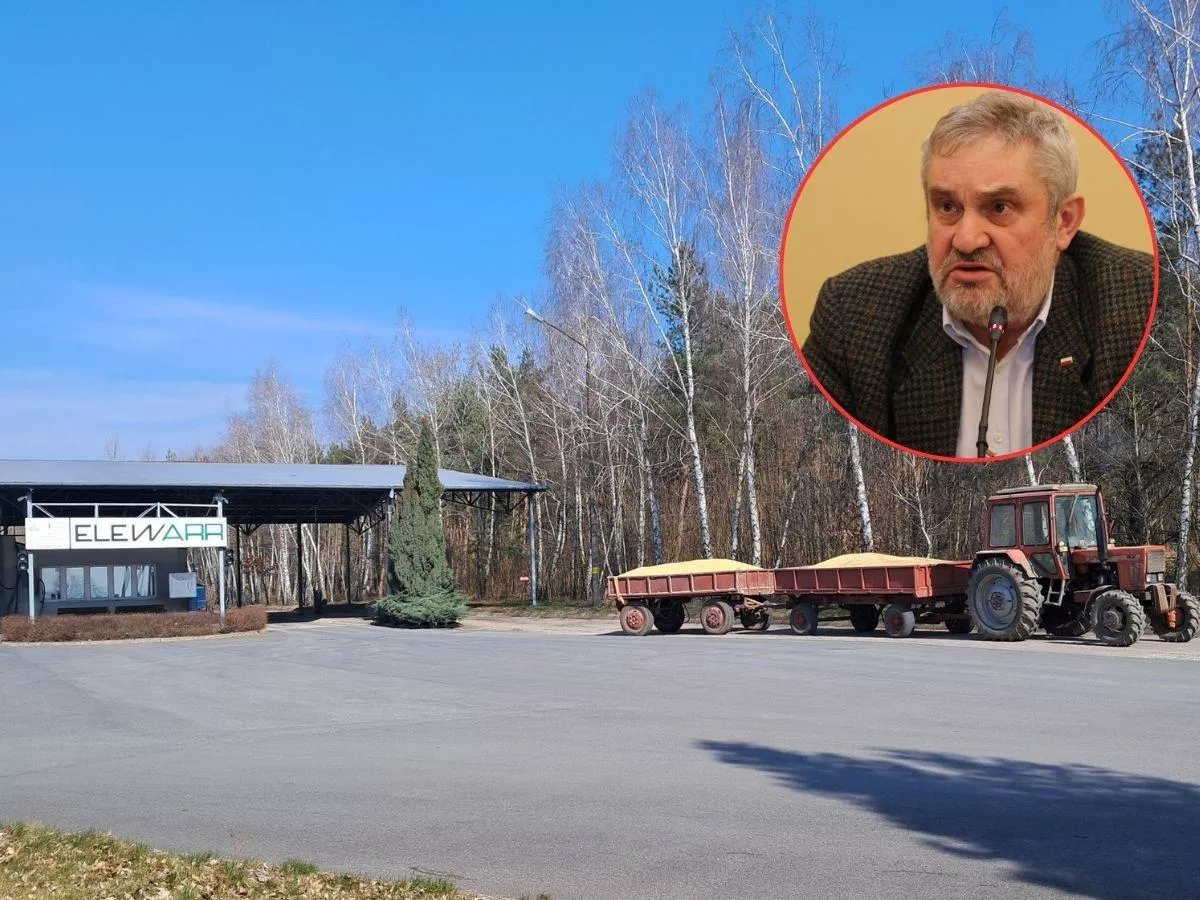 Ceny zbóż jak 20 lat temu. Ardanowski mówi, co trzeba zrobić