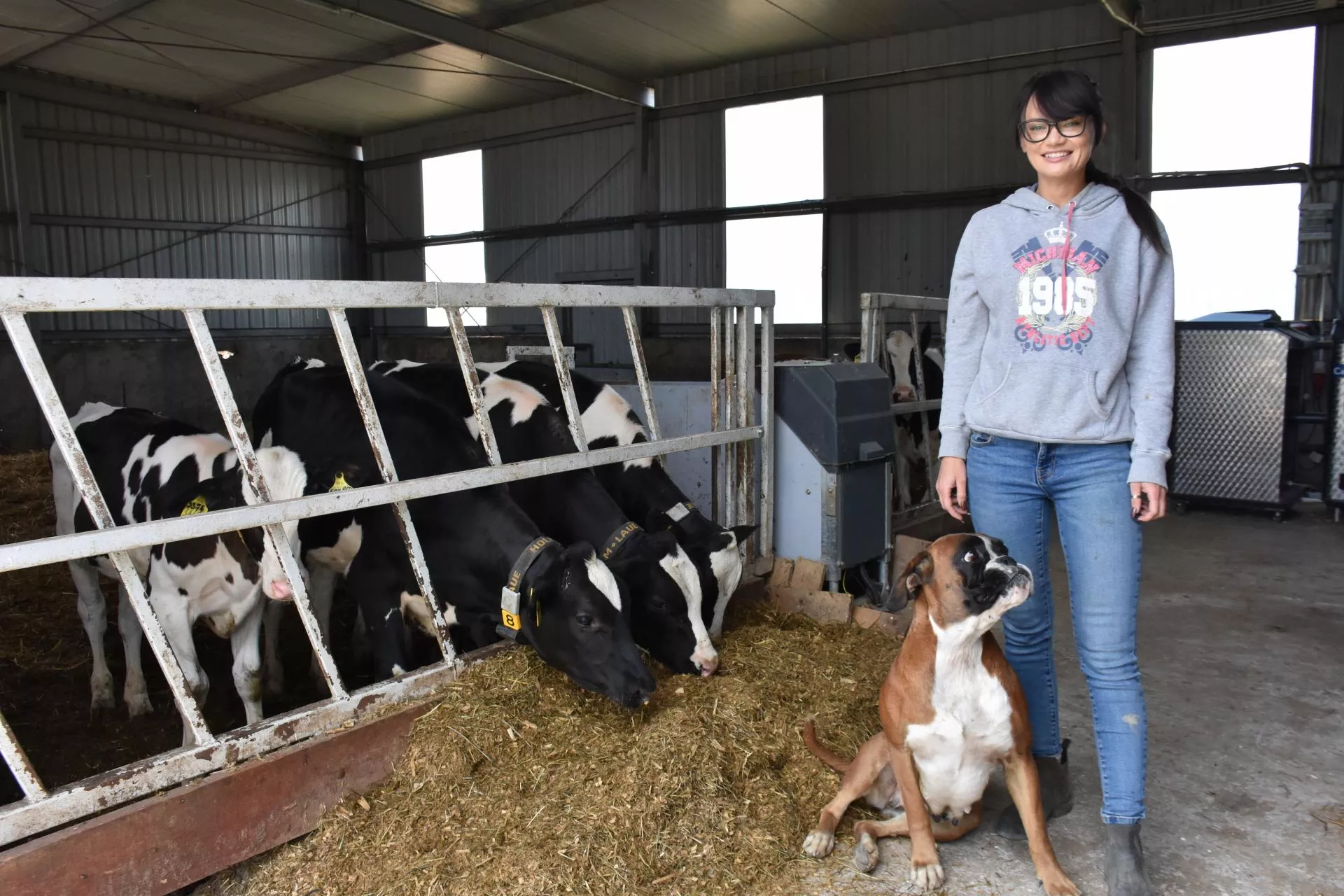 12 tys. litrów mleka od krowy. Młoda rolniczka spod Rypina pokazuje, jak to robi