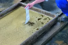 Wanna do kąpieli racic