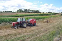 Ciało rolnika znaleziono nad ranem