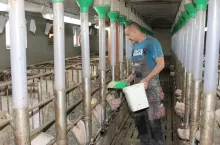 pasza locha dokarmianie sektor krycia