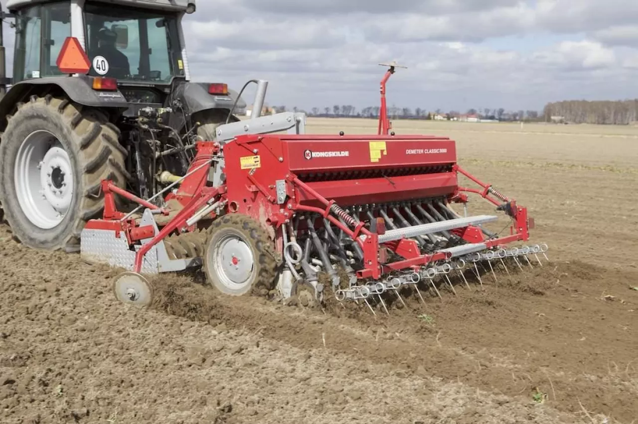 Rolnicy sieją rzepak w pył. Sprawdzamy, jak idą siewy w Polsce