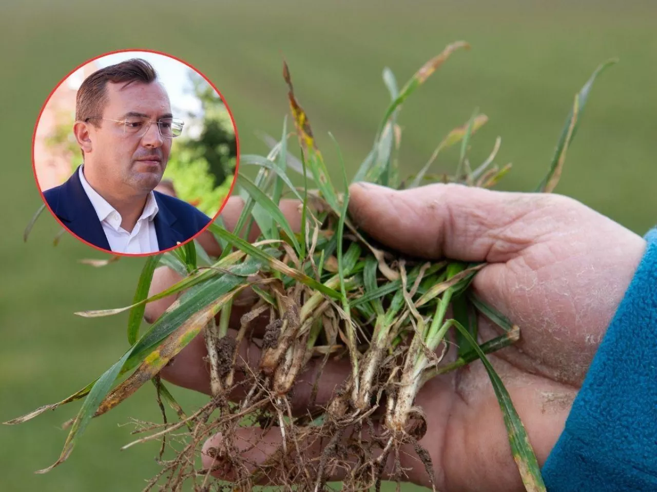 Dopłaty do odszkodowań i nowych funduszy? Szykują się duże zmiany dla rolników
