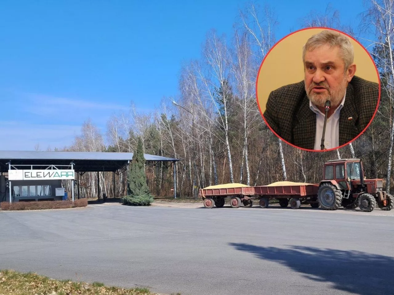 Ceny zbóż jak 20 lat temu. Ardanowski mówi, co trzeba zrobić