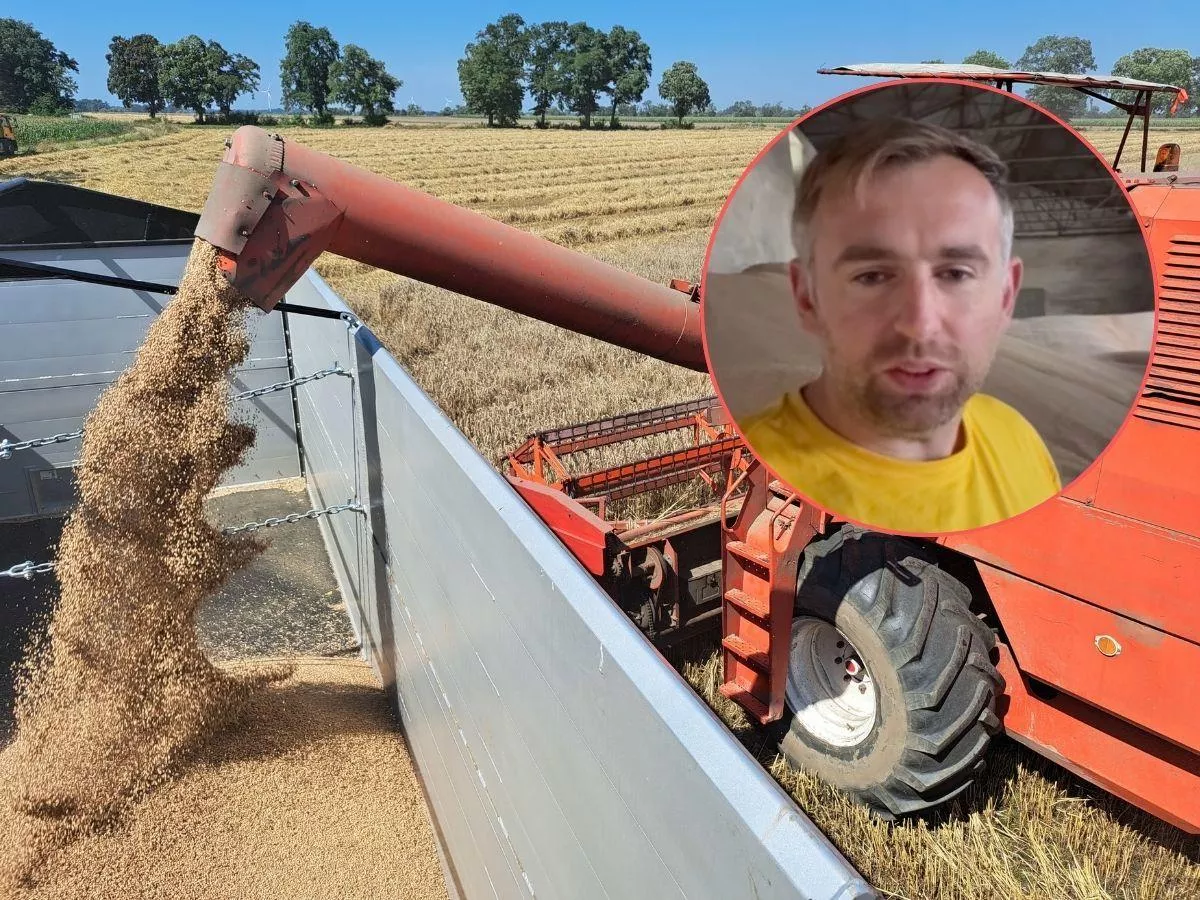 Rolnik bije na alarm: przez 20 lat chleb podrożał 4 razy, a zboże wcale