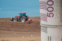 Ceny ziemi w Polsce 2025: ile kosztuje hektar gruntów rolnych? [Najnowsze dane]