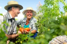 Ile rolnik może dorobić, żeby nie stracić emerytury z KRUS? Nowe kwoty od 1 września 2025