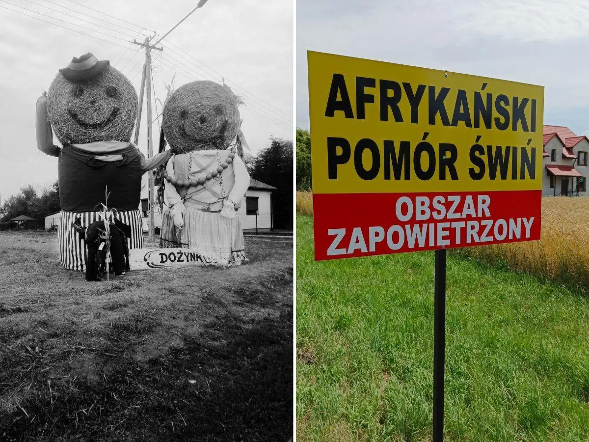 Dożynki 2025 odwołane. Rolnicy z Ulhówka bez święta plonów