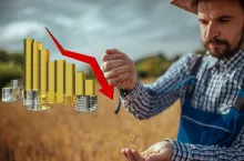 Rolnictwo znów wciska hamulec. Ceny skupu lecą w dół, a koszty nie maleją