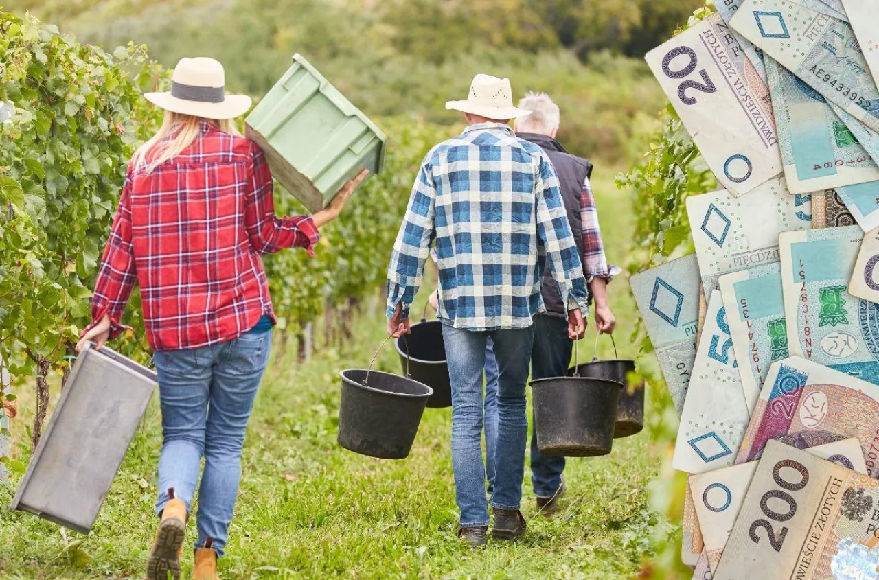 Jaka składka KRUS za IV kwartał 2025? Sprawdź nowe stawki i termin płatności