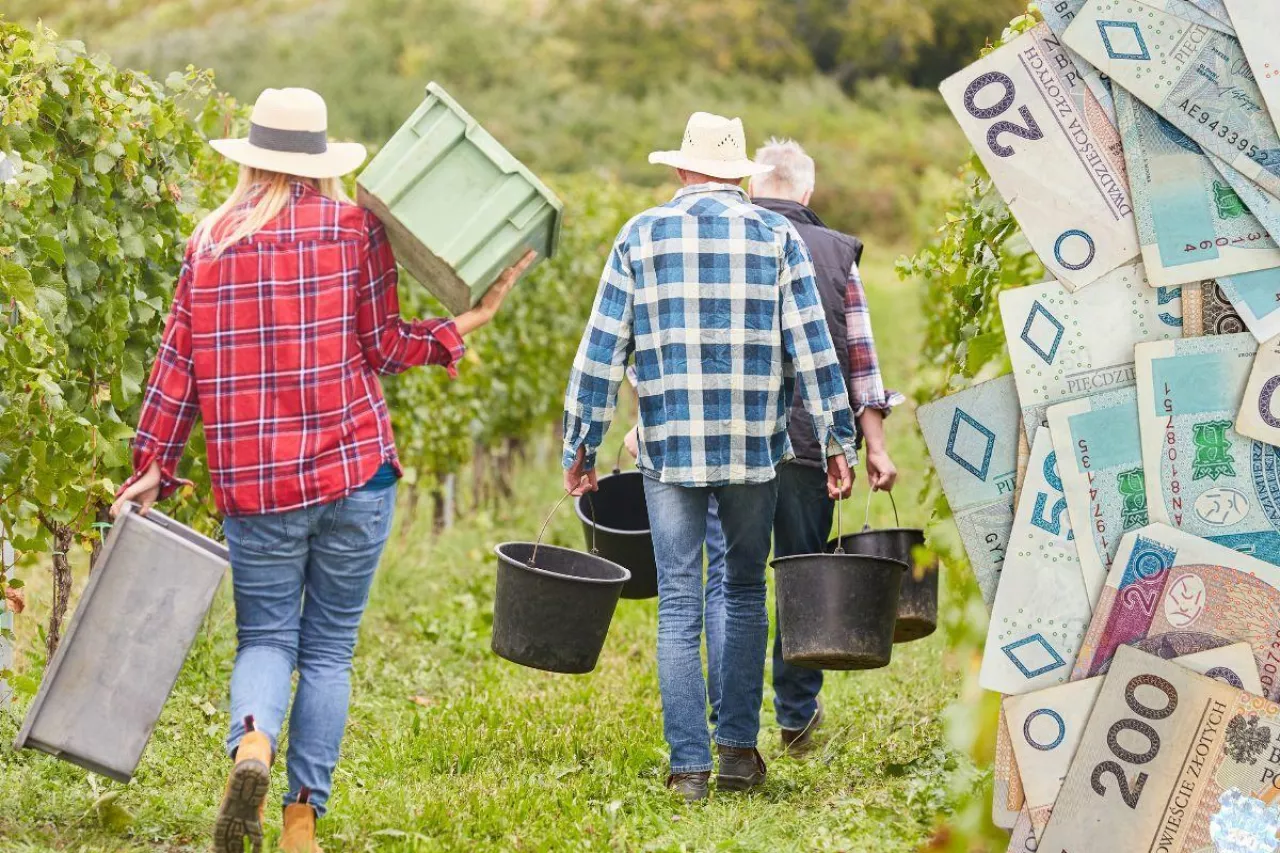 Jaka składka KRUS za IV kwartał 2025? Sprawdź nowe stawki i termin płatności