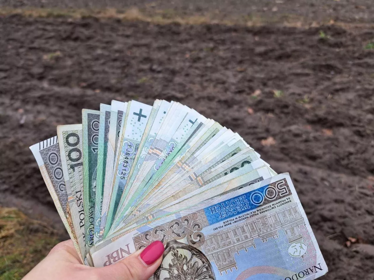 Jakie są aktualne ceny ziemi rolnej klasy IIIb i IV w Polsce 2025?