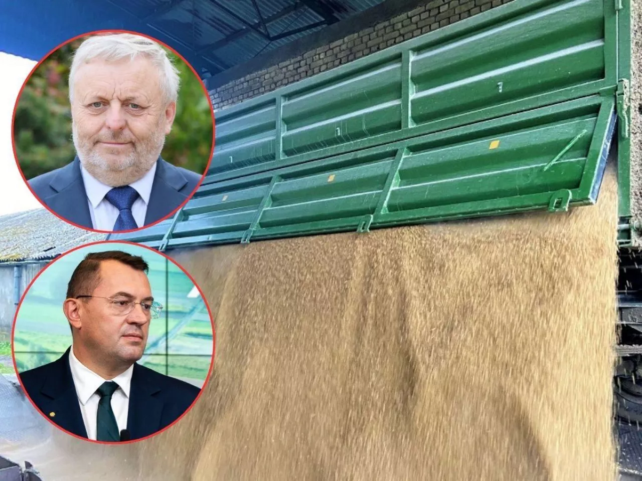 Tanie zboże i brak skupu. Rząd tłumaczy, dlaczego jest tak źle