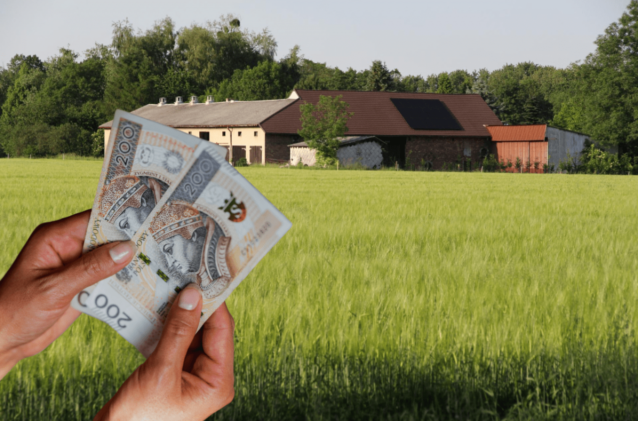 Ceny ziemi rolnej 2025: ile kosztuje klasa I i II w Polsce?