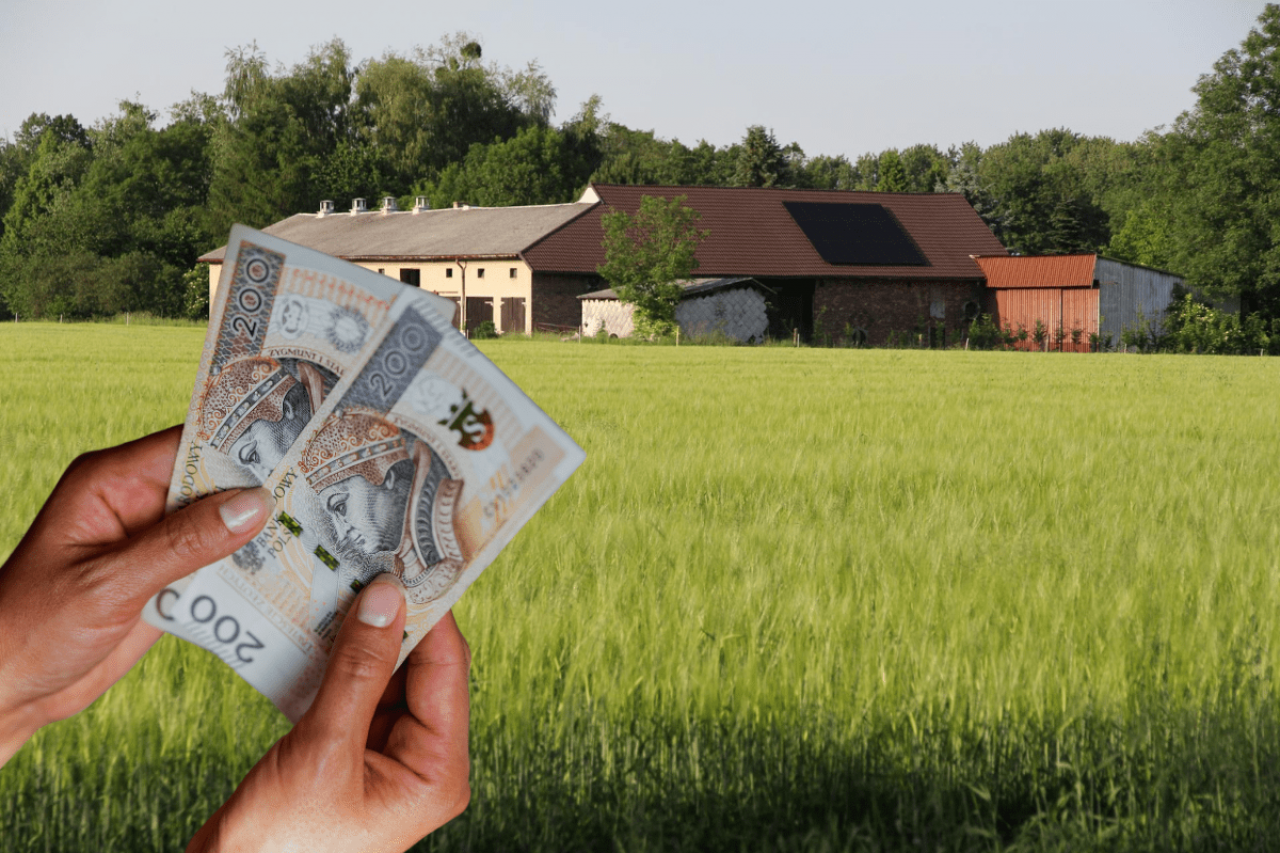Ceny ziemi rolnej 2025: ile kosztuje klasa I, II i IIIa w Polsce?
