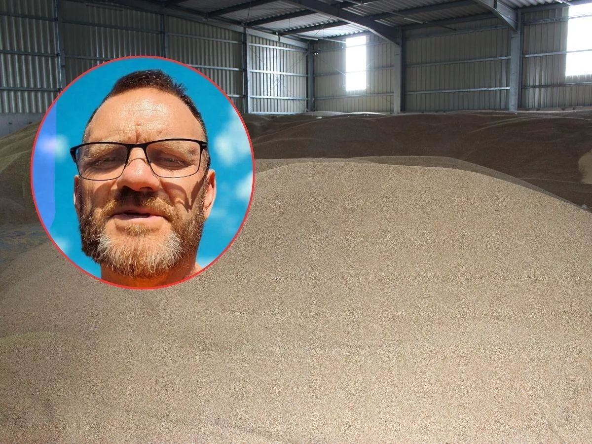 Zboże tańsze niż otręby. Rolnik załamany: nie mam gdzie sprzedać 500 ton pszenicy