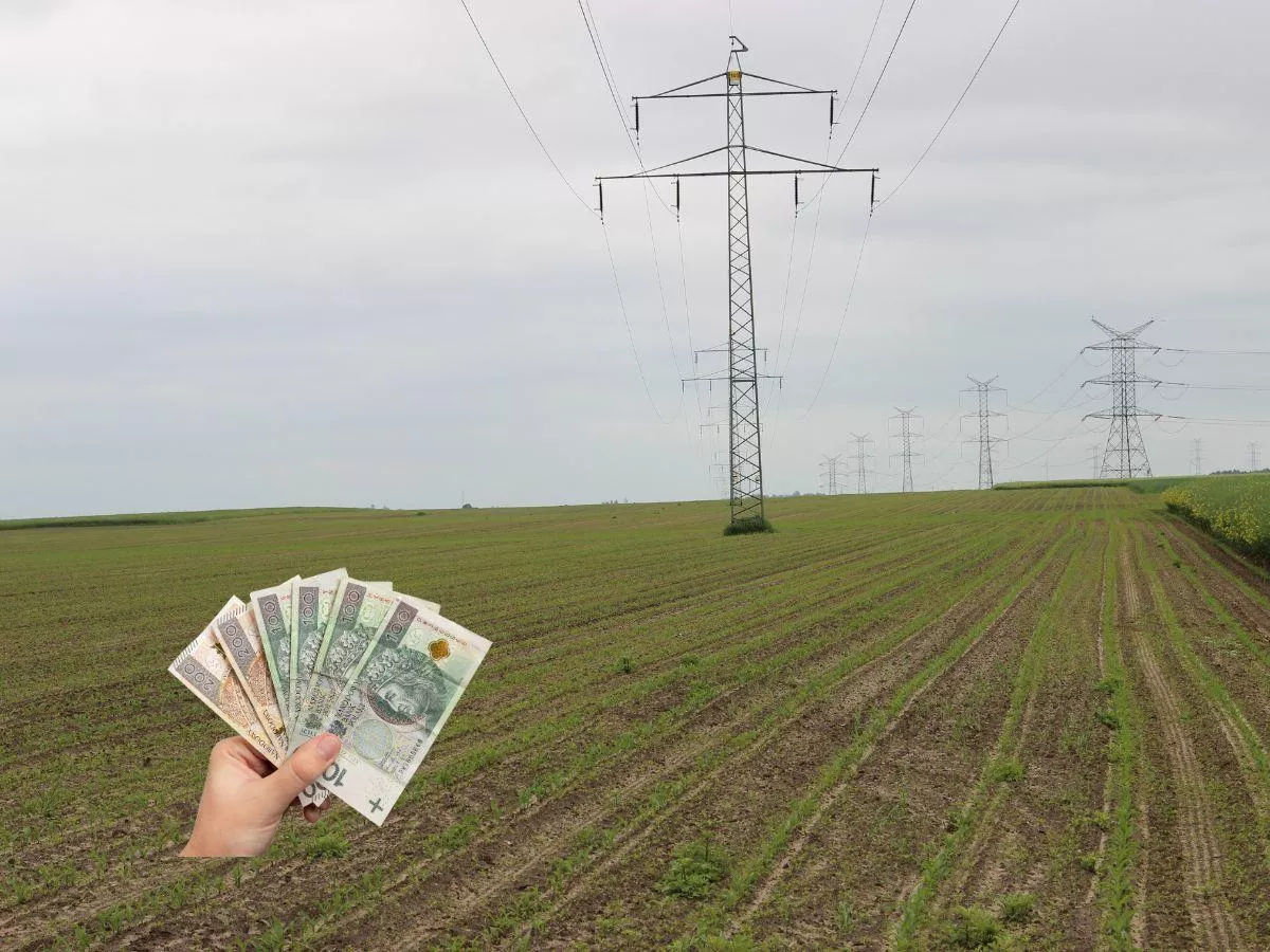 Ceny ziemi rolnej 2025: ile kosztuje klasa V i VI?