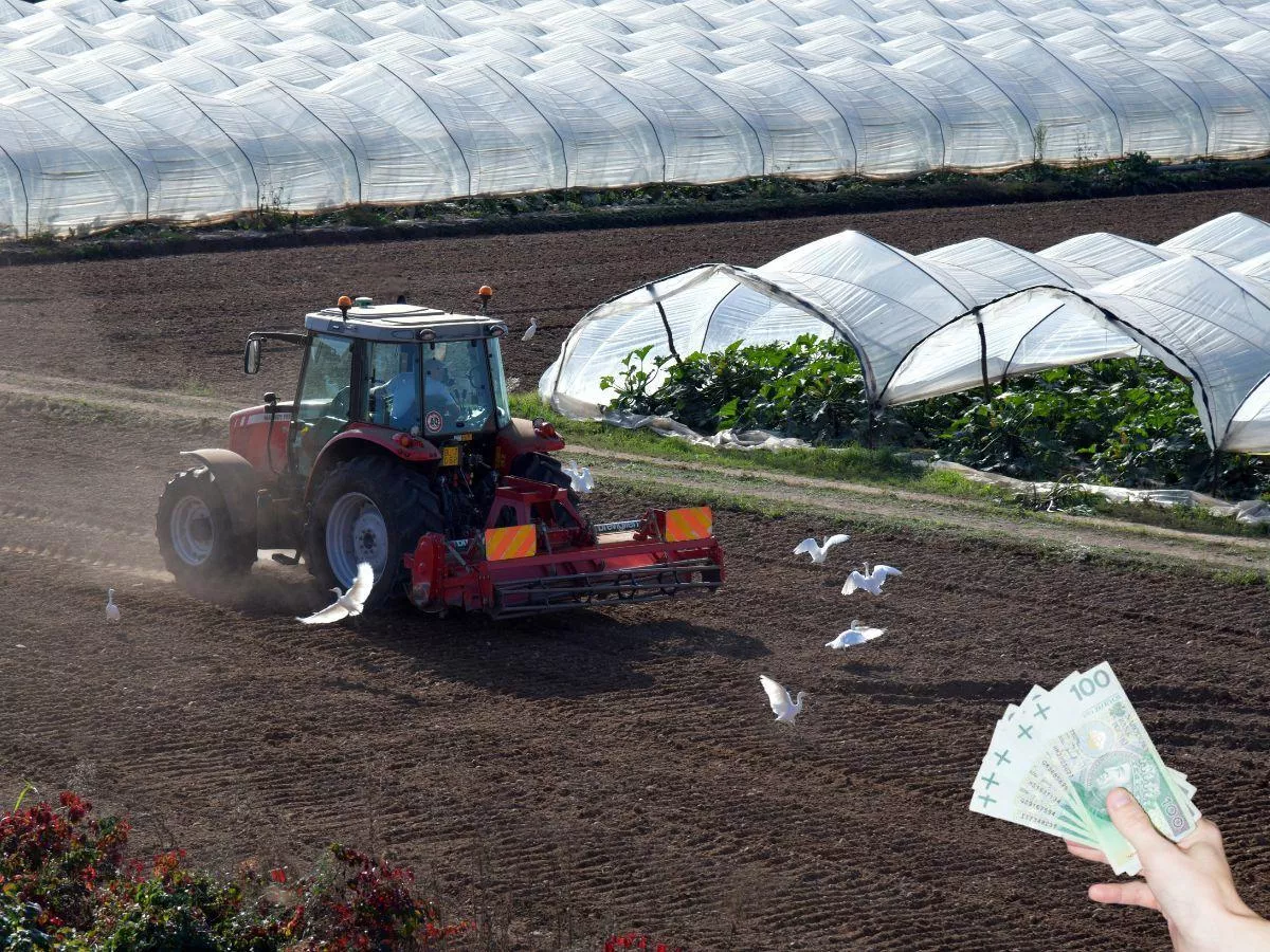 Rolnicy stracą dopłaty i ziemię? Nowe przepisy pod ostrzałem