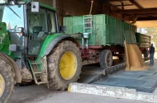 Jakie są ceny zbóż i rzepaku?