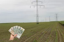 Ceny ziemi rolnej 2025: ile kosztuje klasa V i VI?