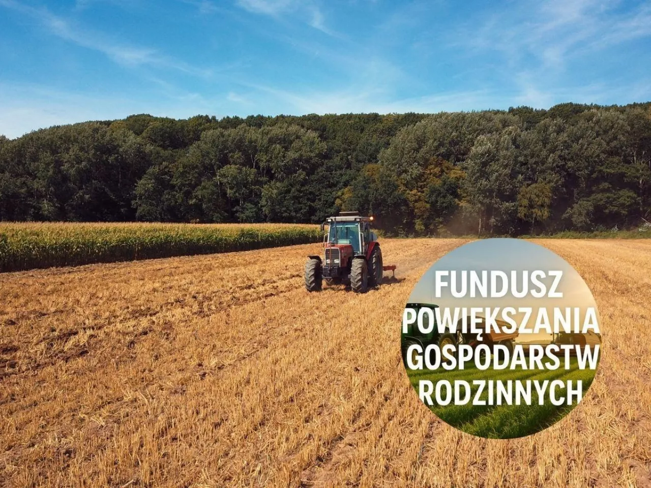 Urzędowe ceny skupu i ziemia tylko dla aktywnych. Nowy pomysł dla rolników