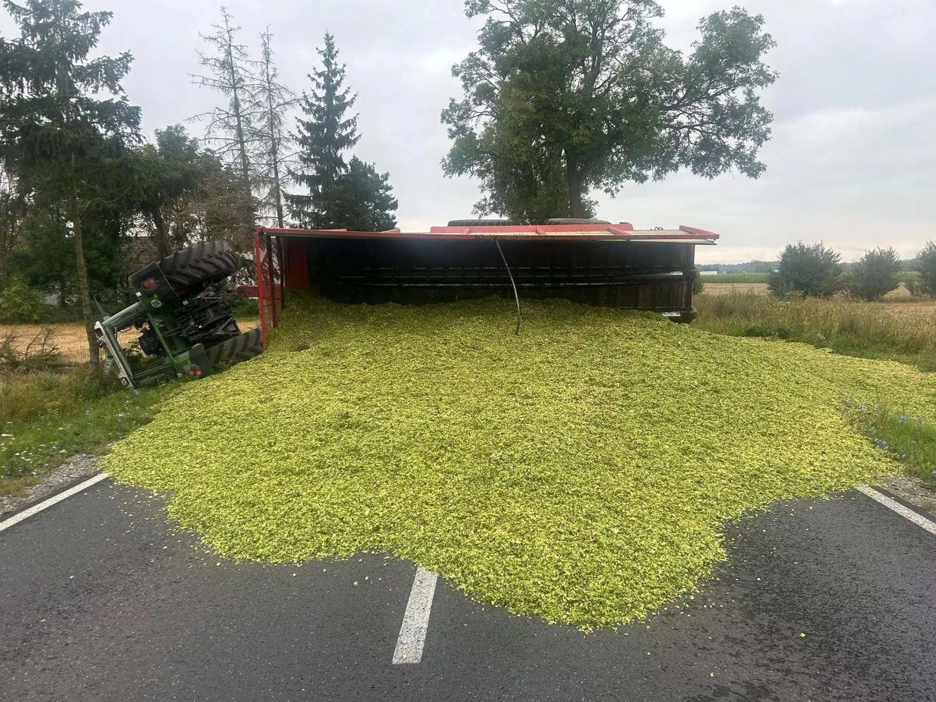 Chwile grozy pod Czarnkowem. Ciągnik z kukurydzą na kiszonkę przewrócił się na drogę [FOTO]