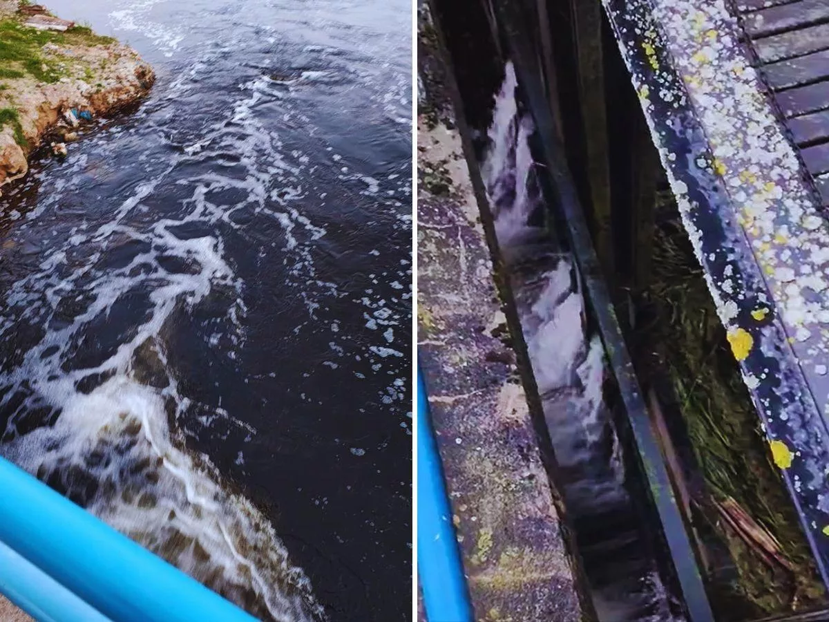 Rolnicy z Podlasia tracą łąki. Kto winny?