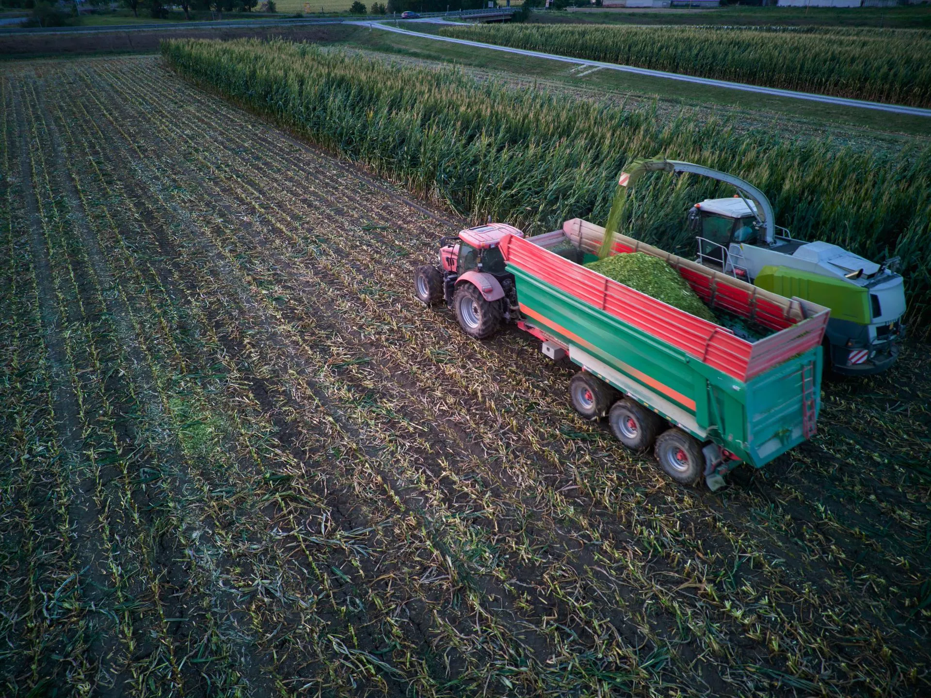 Jak przewozić zboże na przyczepie, by nie zapłacić kary?