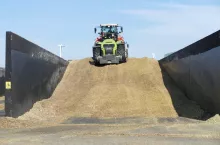 Jak zrobić dobrą kiszonkę z kukurydzy? Tych błędów unikaj