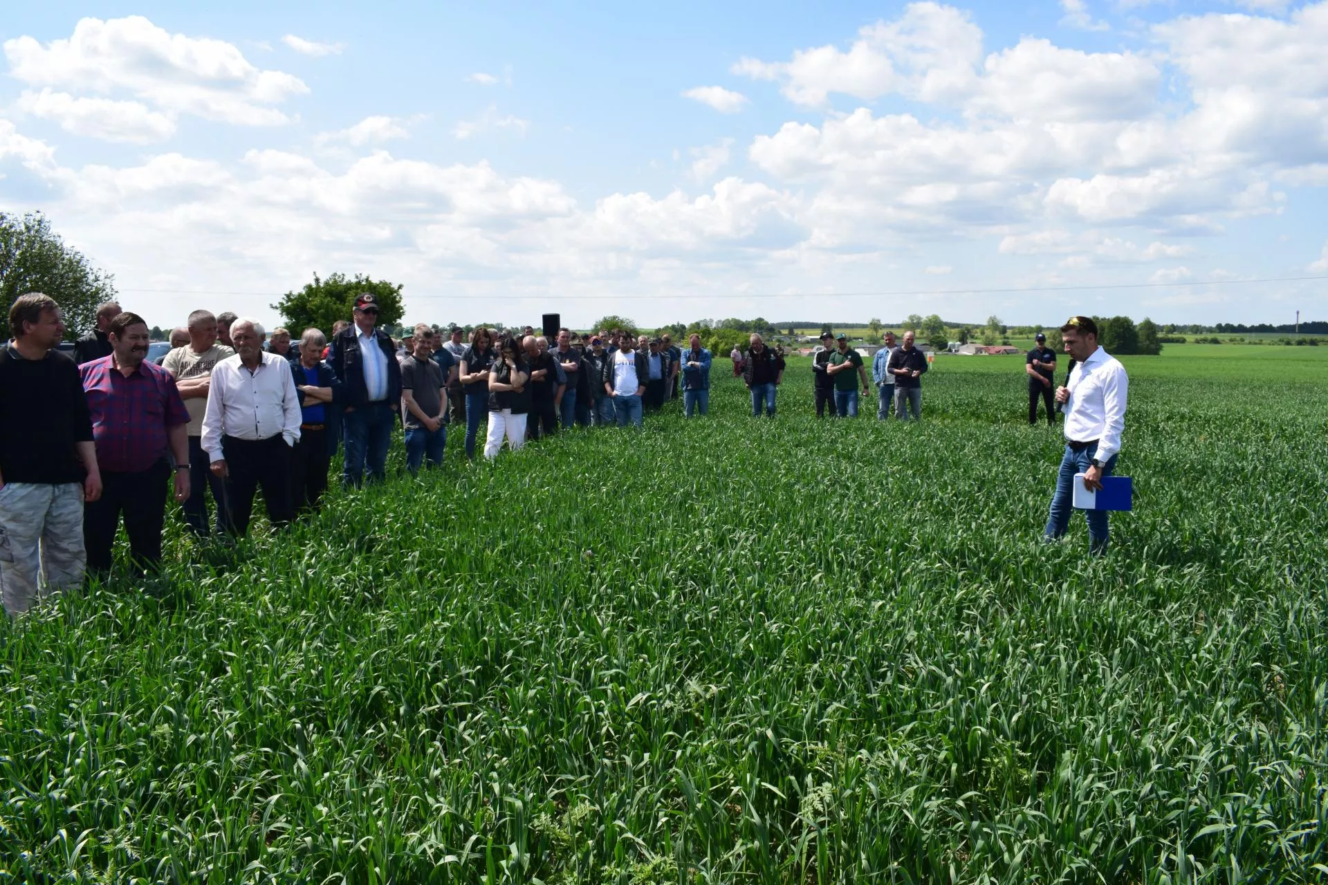 Jak zadbać o dobry start owsa ozimego?