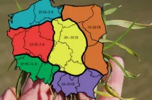 Terminy siewu zbóż ozimych. Klimat się zmienia, zalecenia też