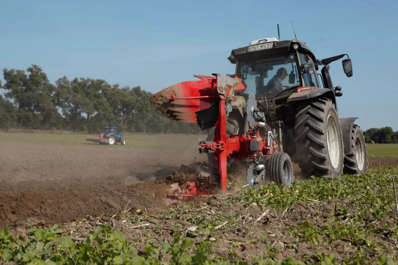 Rozwój małych gospodarstw. Co się zmieni w 2025 roku?
