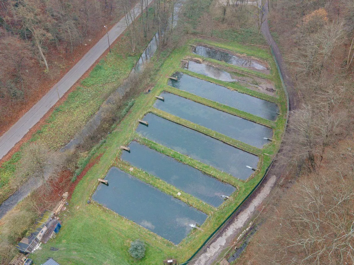 Najgorsza susza od lat. Straty trzeba szacować choćby w stawie