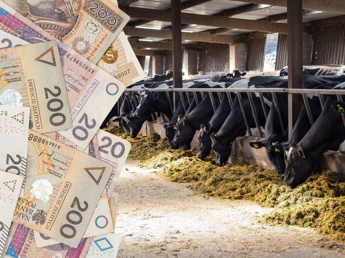 Ceny mleka wzrosną? Odpowiedź już w październiku