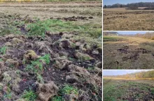 Rolnicy zostali bez paszy. „Za 47 złotych nie naprawię łąki”