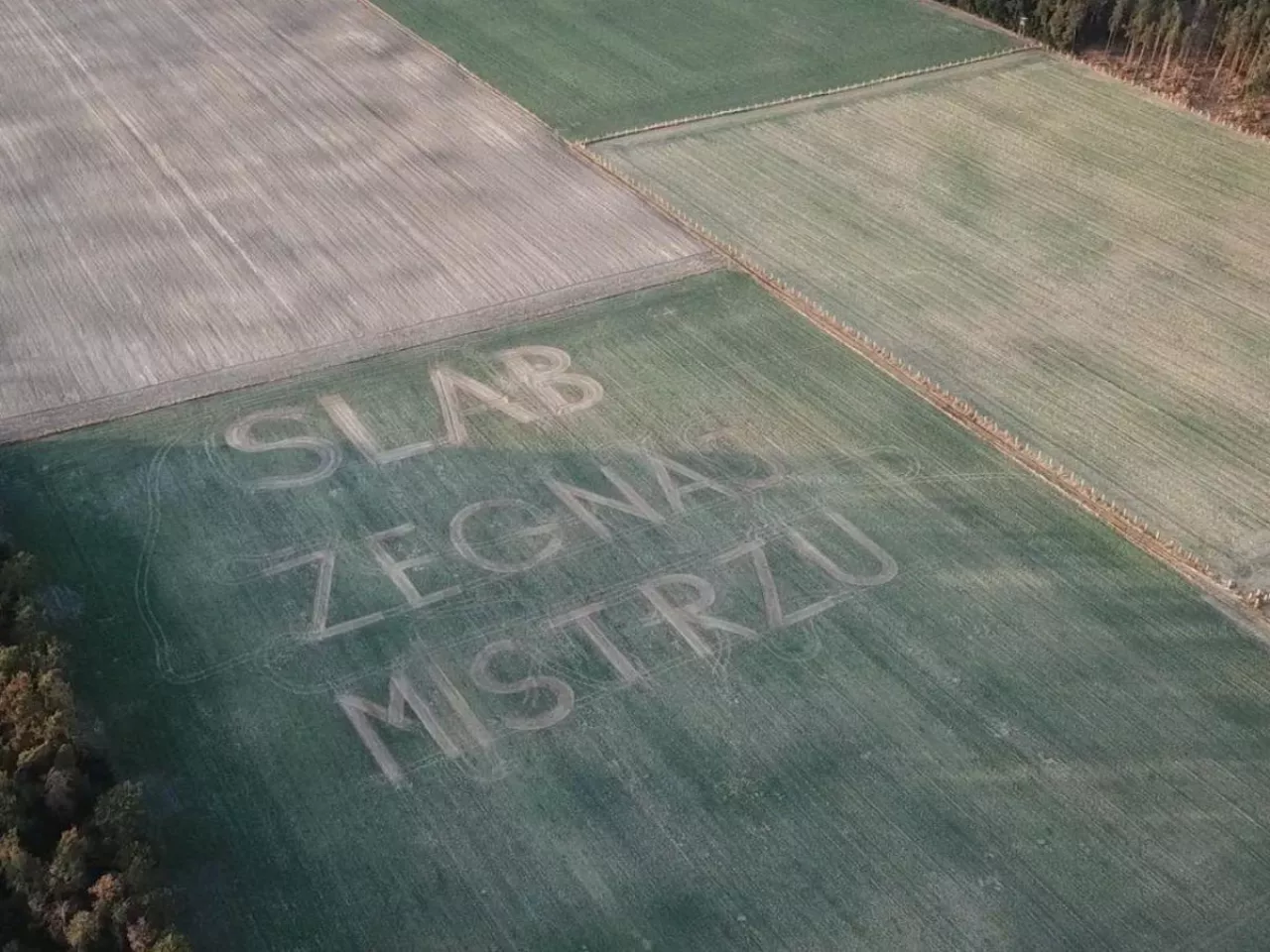 Pole pamięci. Rolnicy uczcili pilota w wyjątkowy sposób