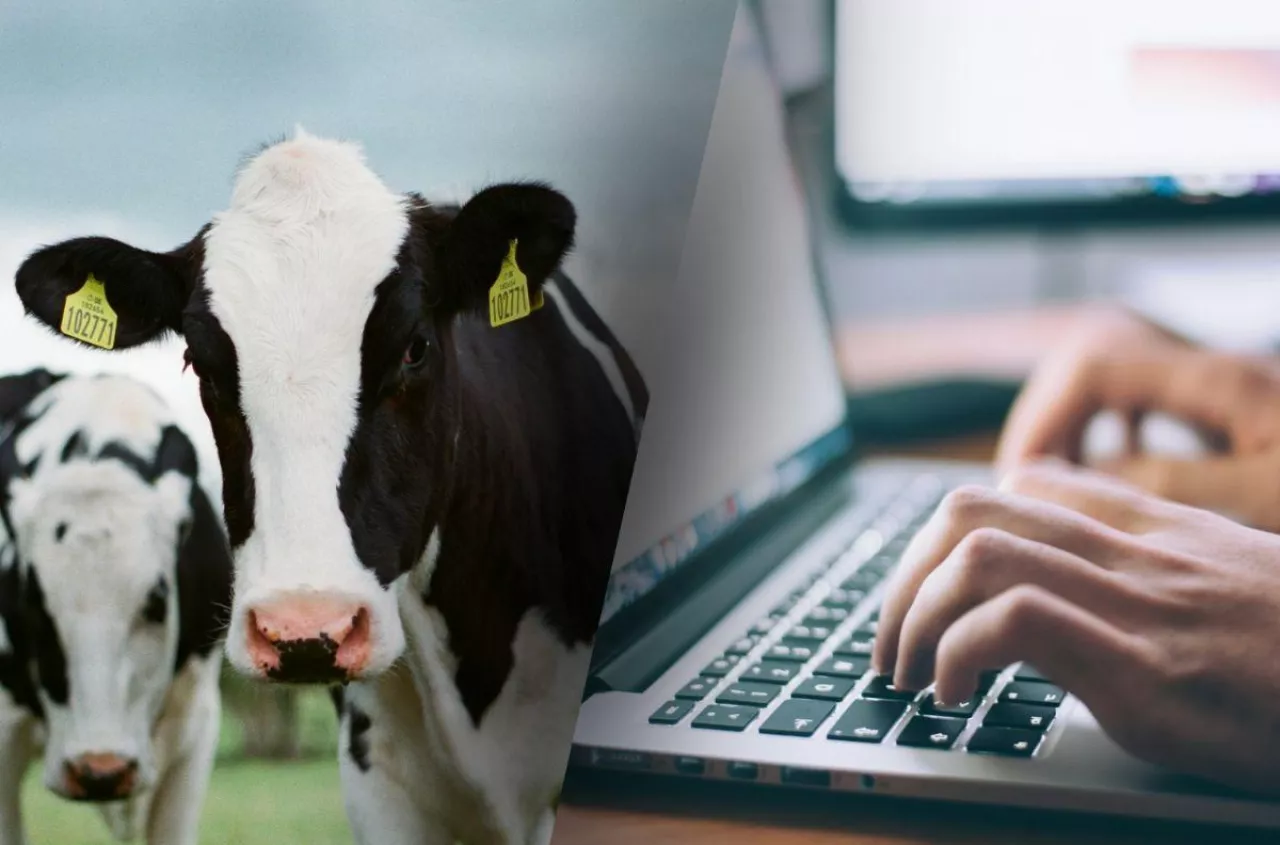 IRZplus na nowych zasadach. Ministerstwo wydłuża istotny termin