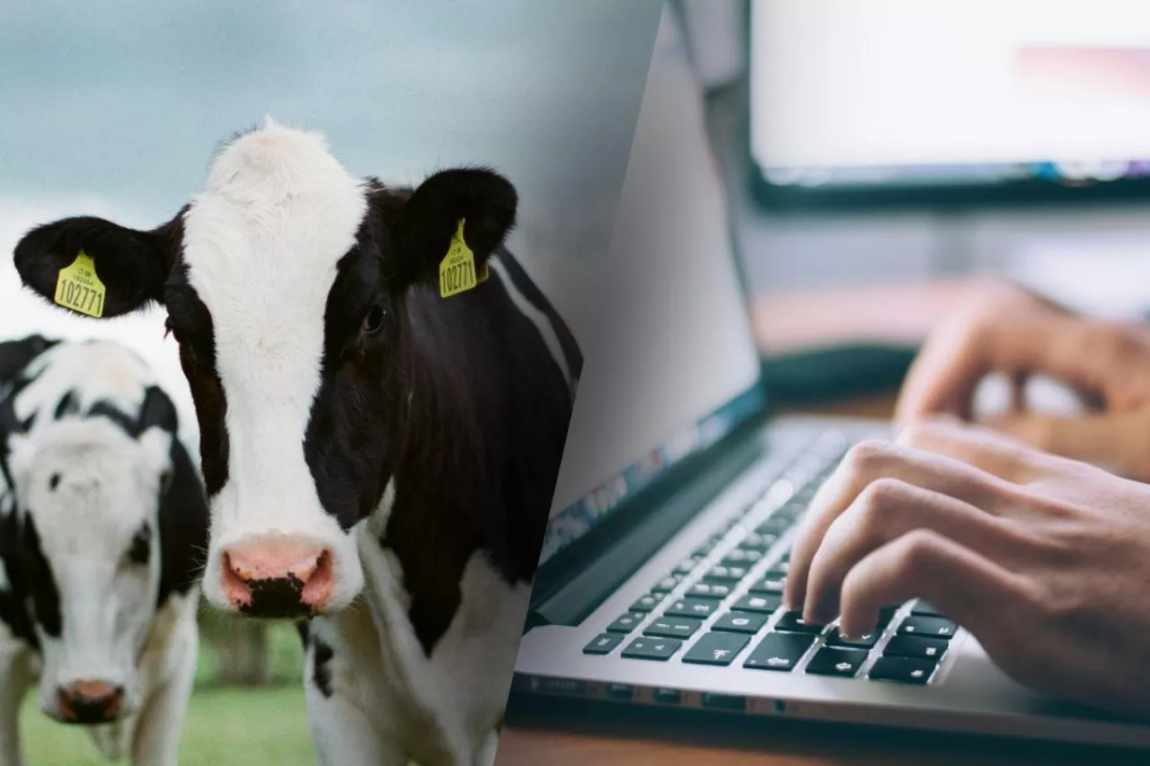 IRZplus na nowych zasadach. Ministerstwo wydłuża ważny termin