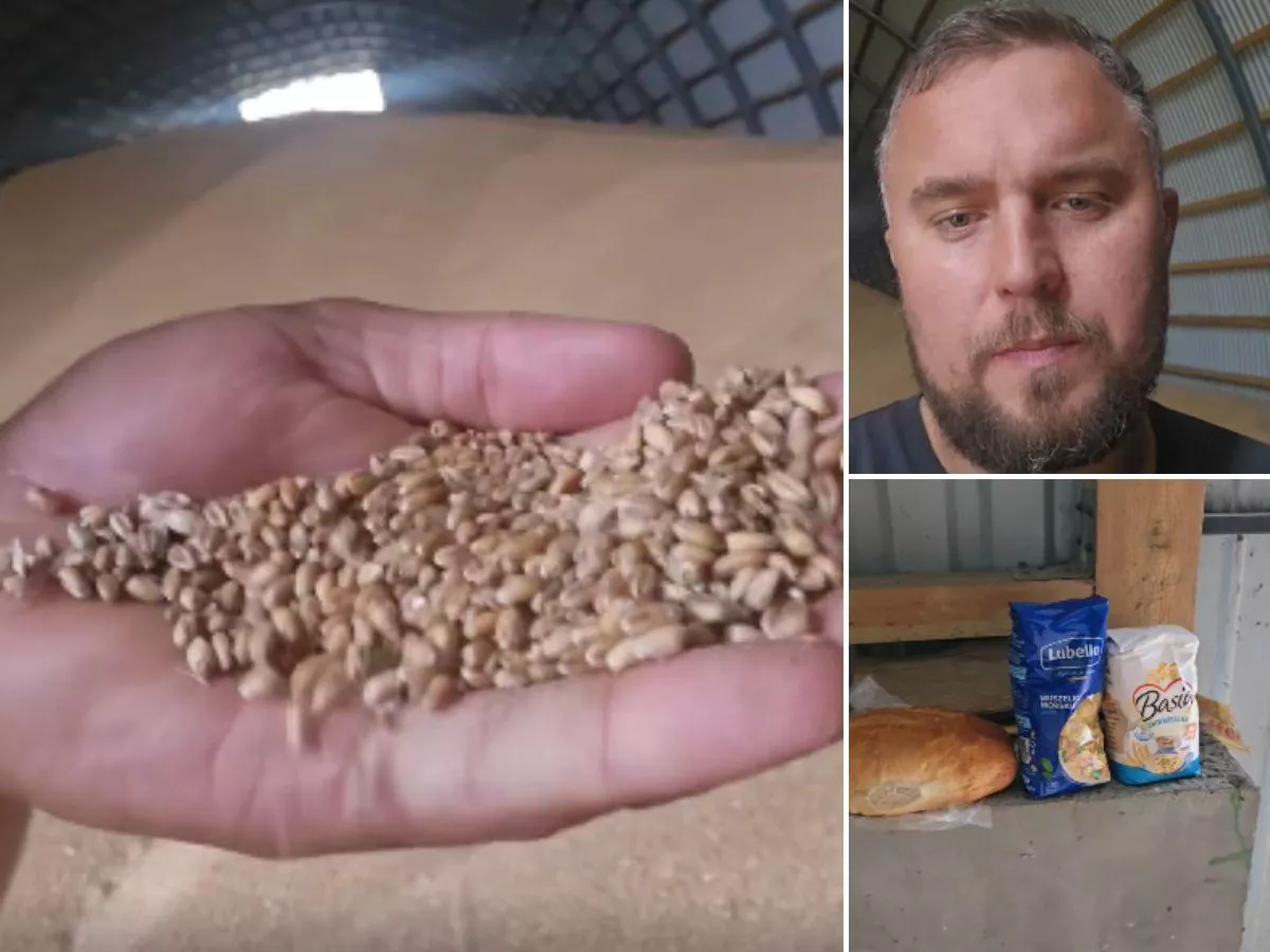 Zboże bardzo tanie, a chleb po 10 zł. Rolnik wyjaśnia, czemu wychodzi na ulice