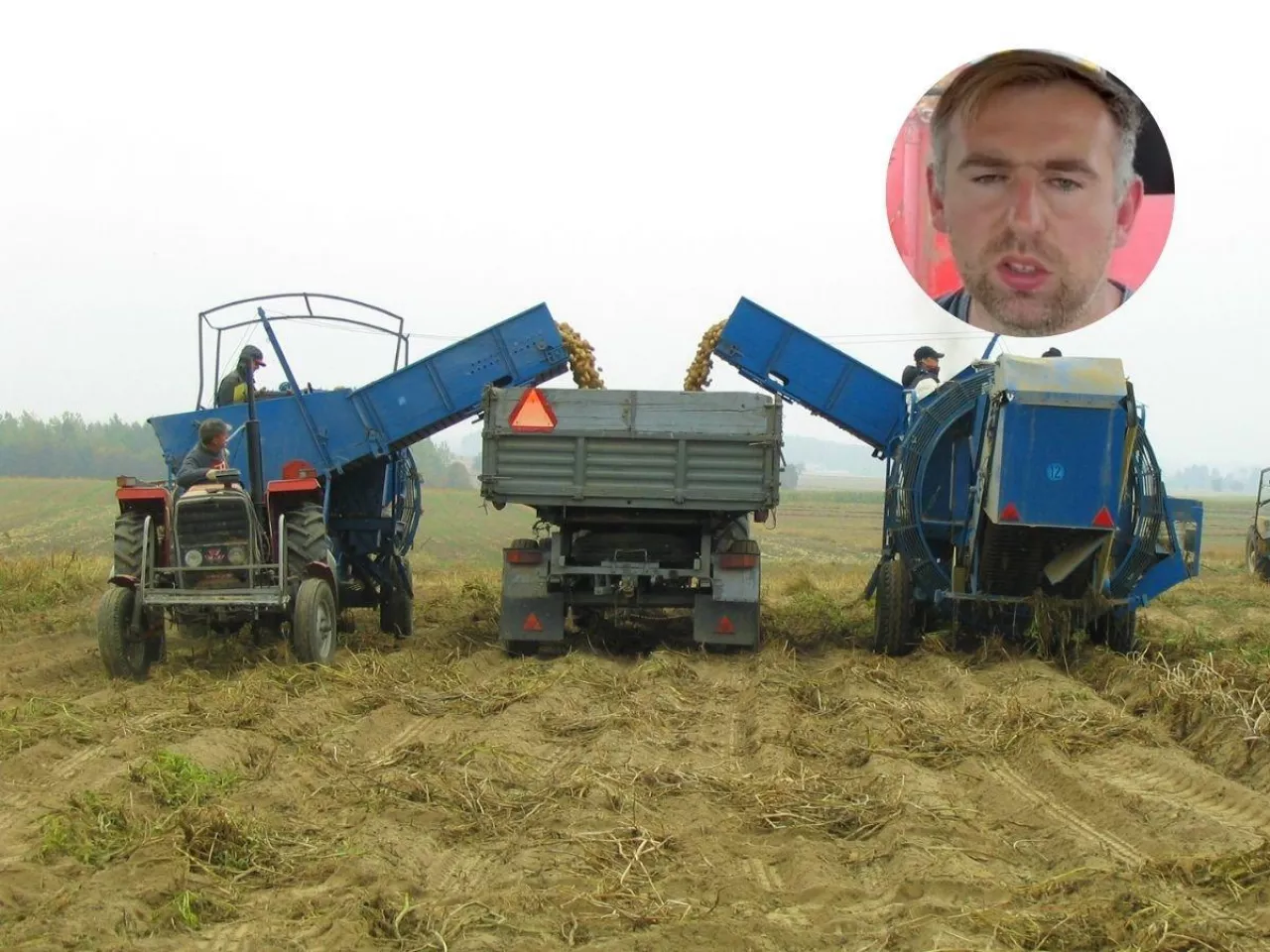 Cena ziemniaków szokuje. 45 gr dla rolnika, a w sklepie nawet 6 razy więcej