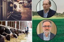 Odchów cieląt i żywienie krów bez tajemnic. Prof. Kowalski i dr Górka zaskoczą hodowców?