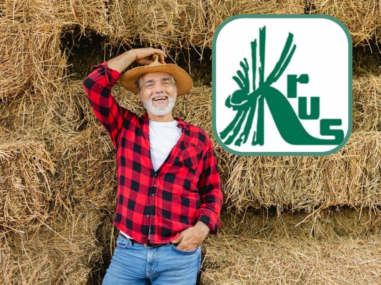 Rolnik stojący na tle sterty bel w jeansach, koszuli czerwonej w czarną kratkę i słomianym kapeluszu