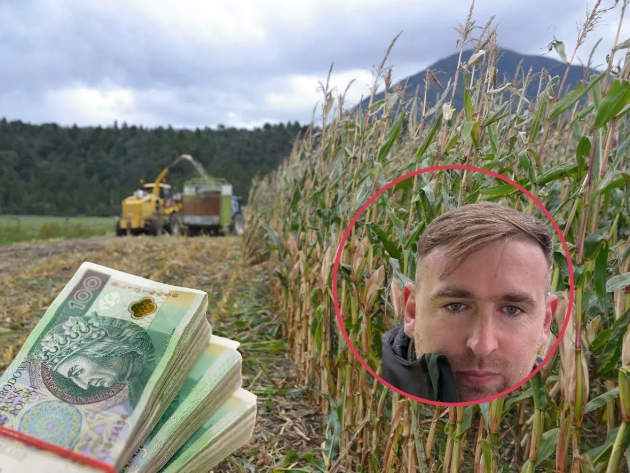 Opłacalność w rolnictwie drastycznie spada. Nad czym pracuje zespół roboczy przy KRiR?