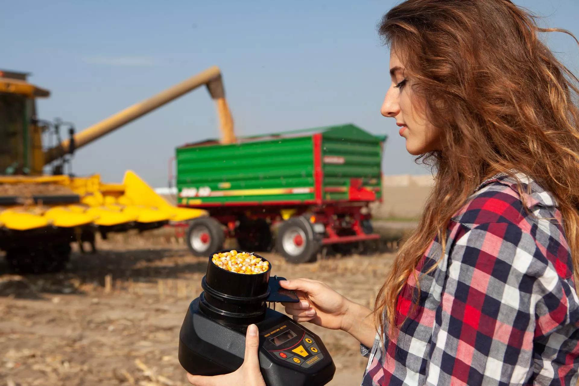 Kukurydza 2025: szykują się rekordowe zbiory w Polsce. Jakie będą ceny?