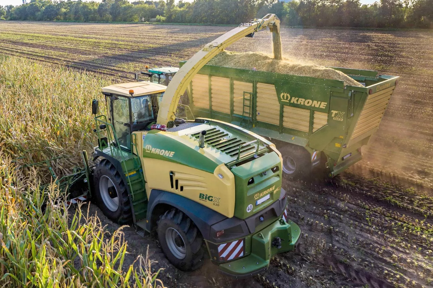Awarii nie będzie. Zobacz, jak przygotować sieczkarnię do zbioru kukurydzy