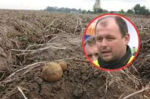 Polska tonie w ziemniakach z importu, a polscy rolnicy dostają zaledwie 30 gr. za kg