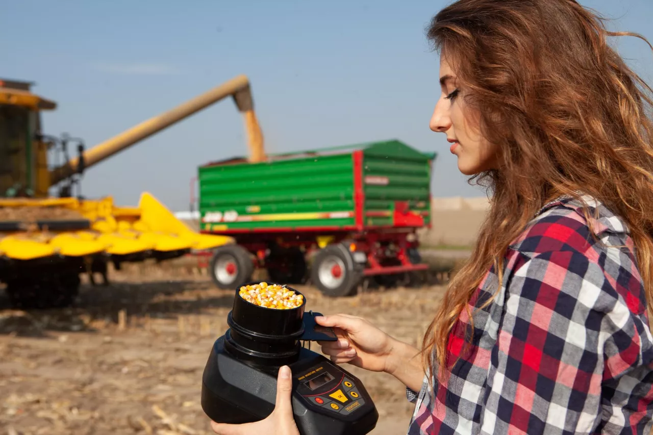 Badanie wilgotności ziarna kukurydzy